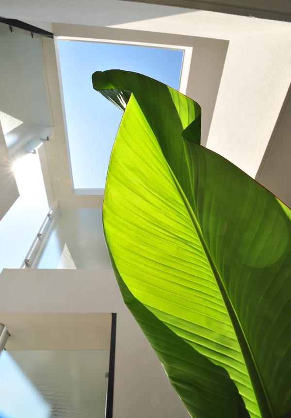 Hotel Eden Park Pau Est, Avec Piscine Eksteriør bilde